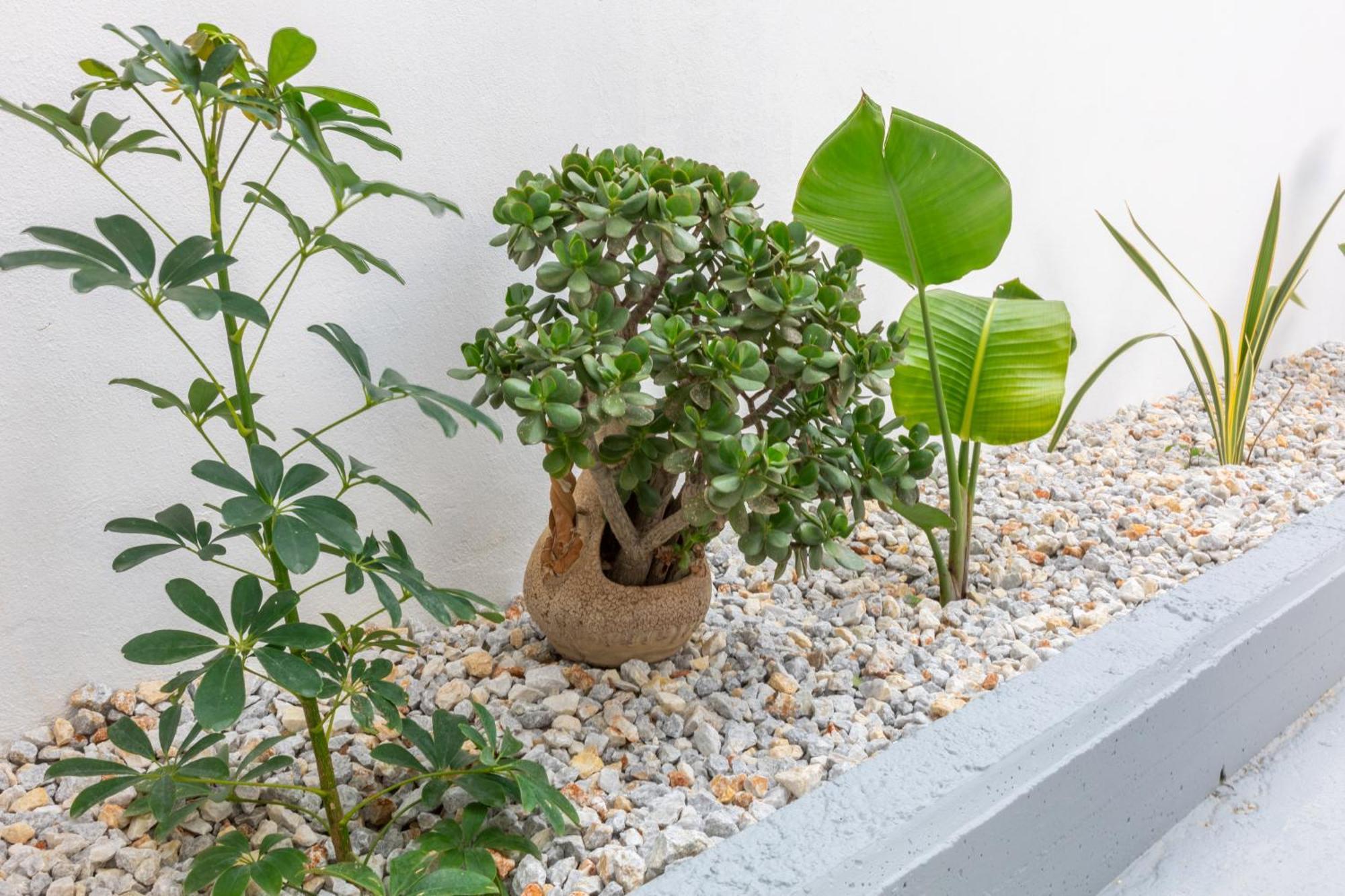 הרקליון Garden Luxury Apartment מראה חיצוני תמונה