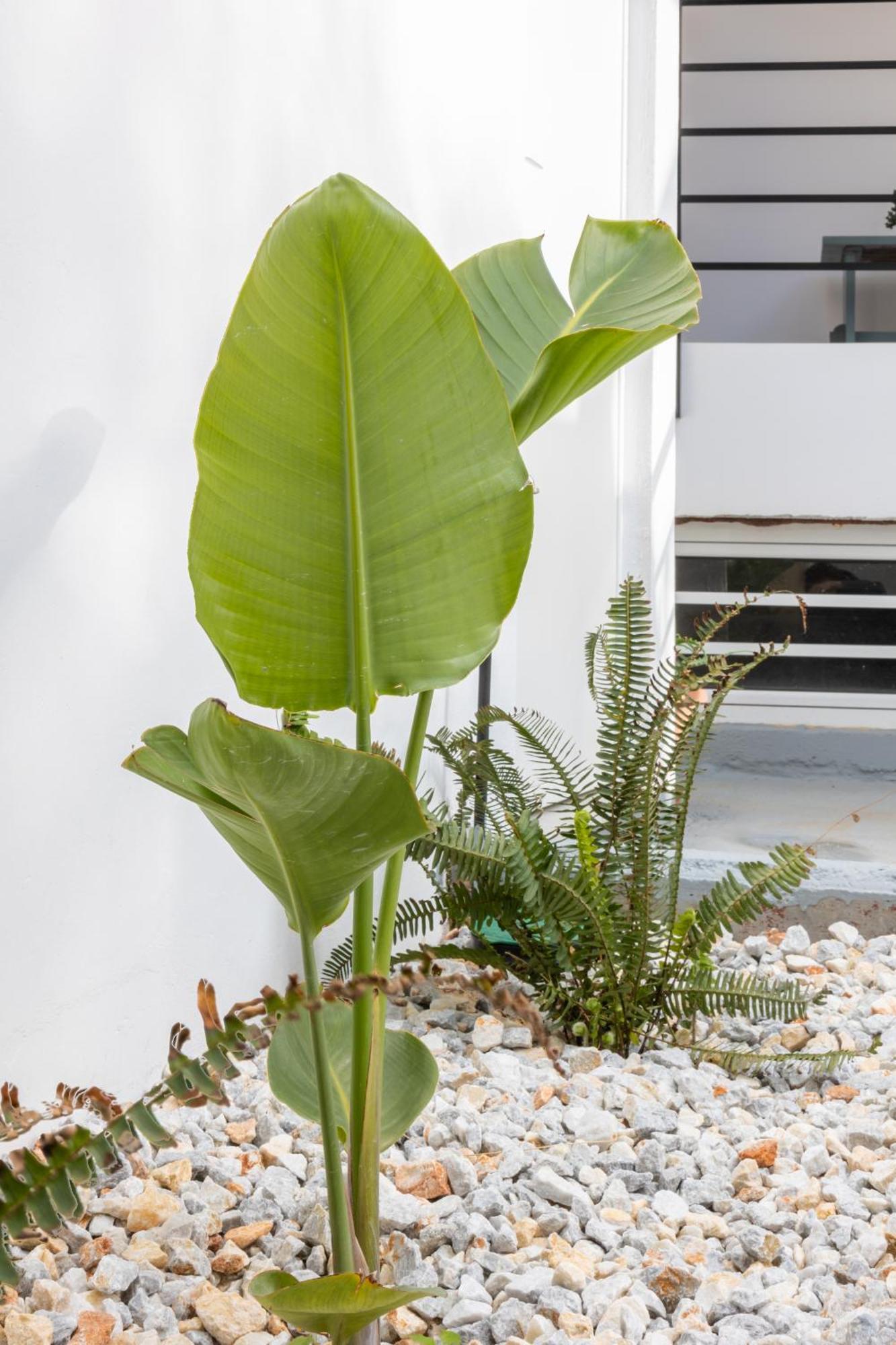 הרקליון Garden Luxury Apartment מראה חיצוני תמונה